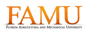 Florida Agricultural and Mechanical University Libraries banner
